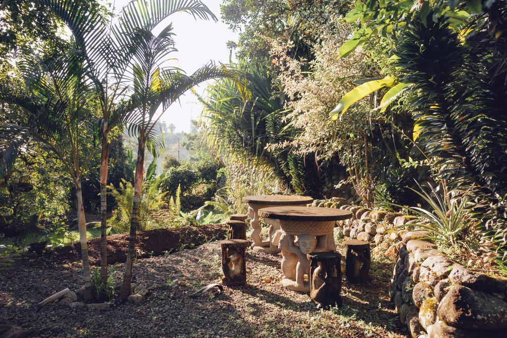 Spanish By The River - Turrialba Exterior foto